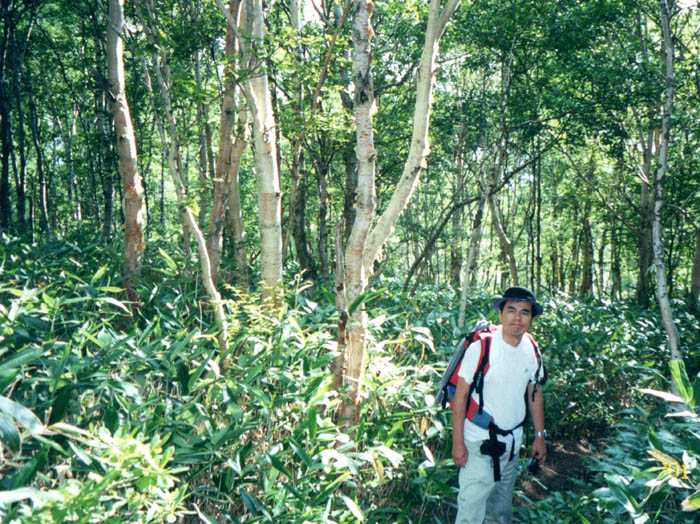 photo7カンバの森を行く