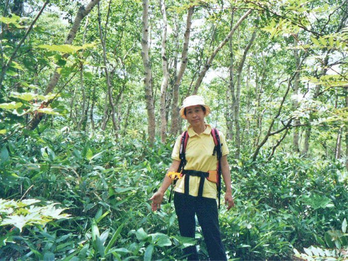 photo8白樺の森で