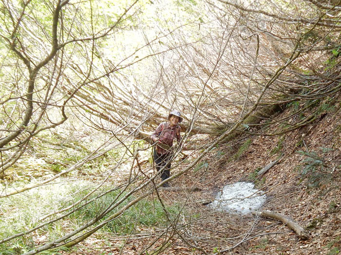 photo11池の裏はヤブだ〜