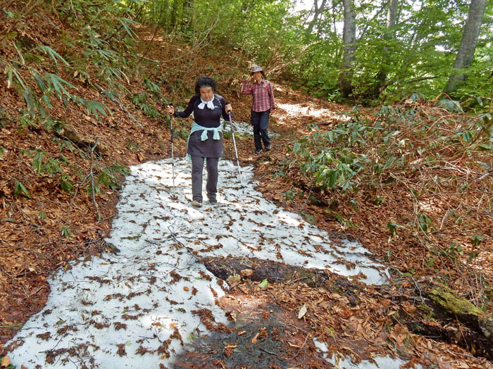 photo14雪が残っている