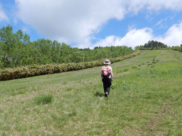 photo8ゲレンデを登る