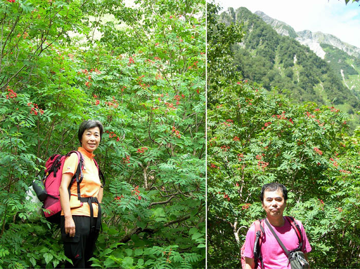 photo17真っ赤なナナカマドの実/涸沢