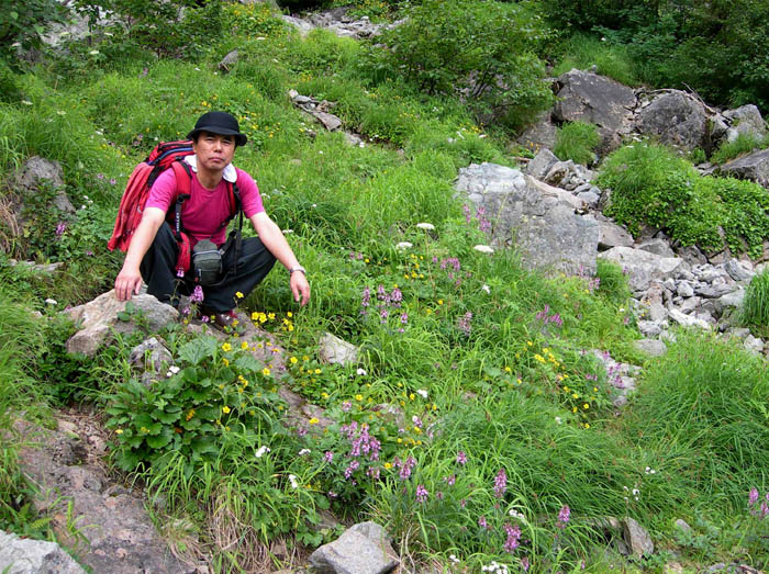 photo18彩り豊かなお花畑/涸沢