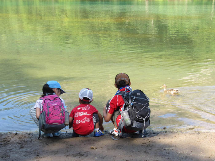 photo3大正池/カモと水辺で/上高地