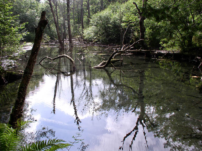 photo63梓川沿いに歩く