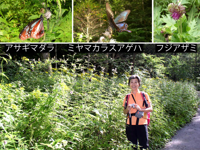 photo9道々の楽しみ/上高地から横尾