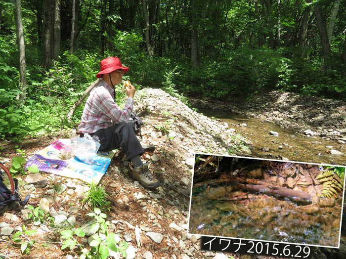 photo24沢辺でランチ