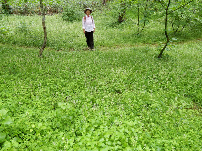 photoズダヤクシュ