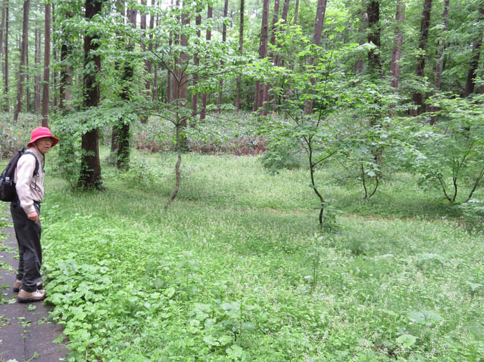 photoズダヤクシュ