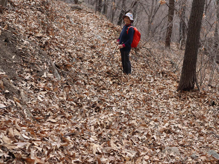 photo：落ち葉に足が埋もれてる：和合城跡