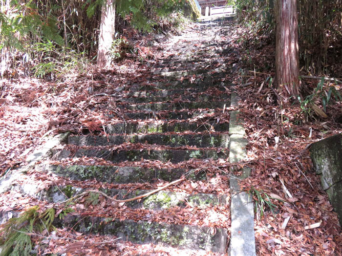 photo：静松寺の苔むした石段：頼朝山