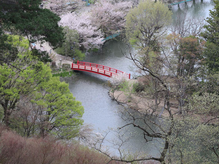 photo：須田城跡山頂下から弁天橋：臥竜山