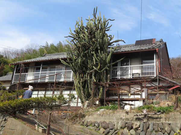 photo：大サボテンの家・神成山