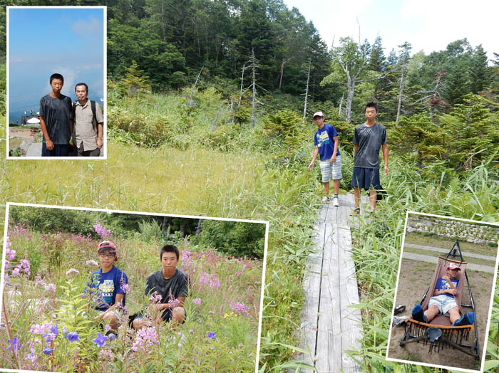 写真・竜王山頂湿原御花畑