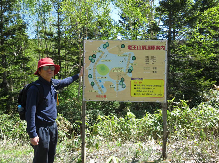 写真・竜王山頂湿原入り口