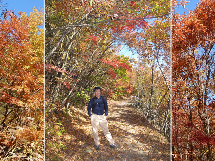 紅葉の道で：地附山