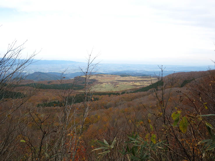 頸城平野を見る：鍋倉山