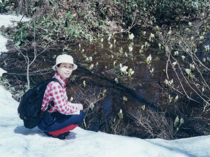 photo：雪の間から沢