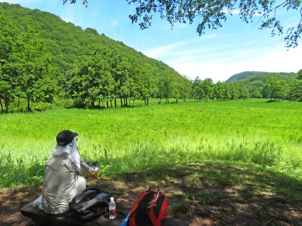 photo：湿原を見ながら休憩：沼の原湿原 