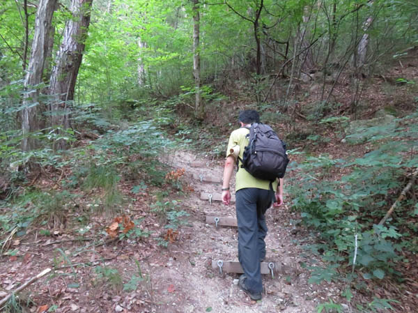 駒弓神社からの登山道：地附山 