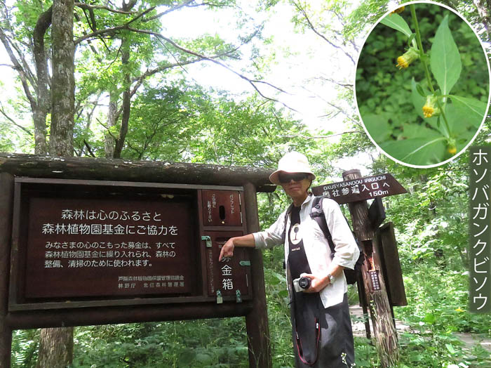 森林植物園 ：戸隠森林植物園