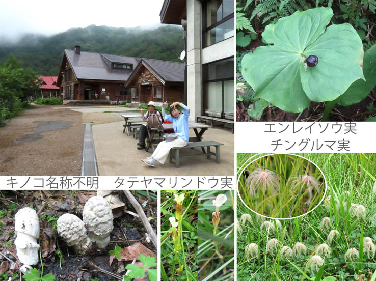 自然園入り口で：栂池自然園