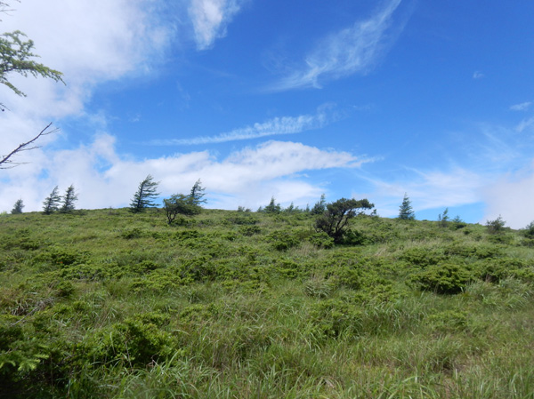 photo・青空の鉢伏山