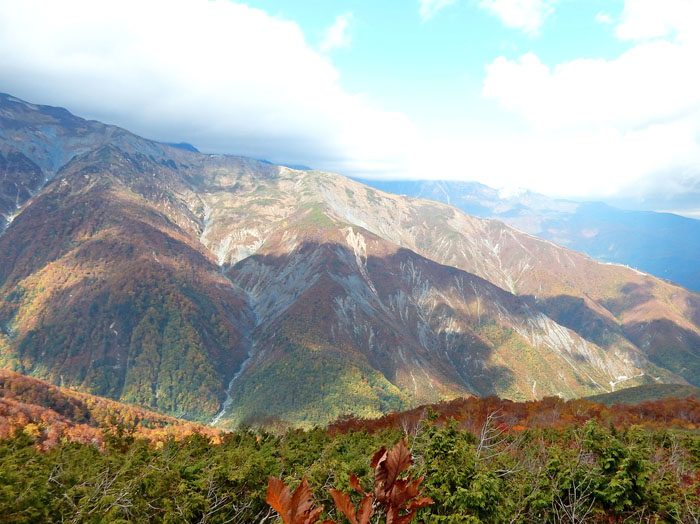 紅葉の八方尾根：白馬五竜地蔵の頭 