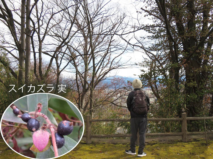 城山から善光寺平を見下ろす 