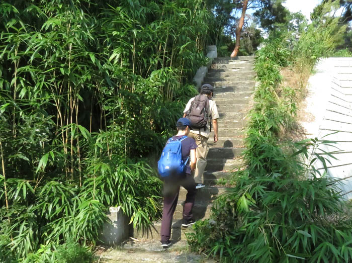 神社に登る：城山公園 