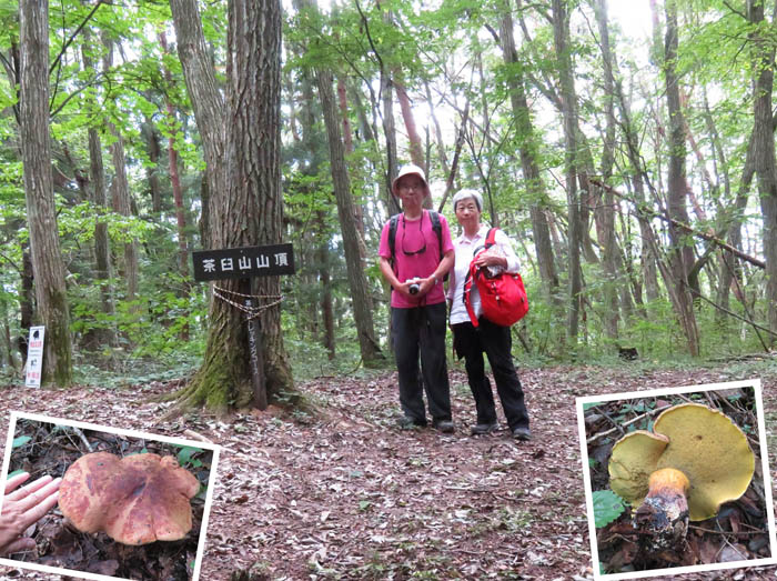 山頂：茶臼山 