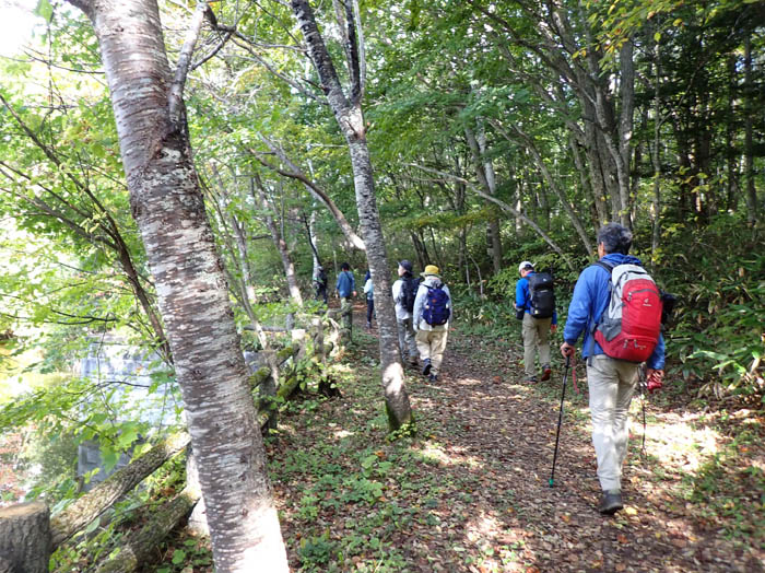 photo4小鳥ヶ池のほとりを歩く 