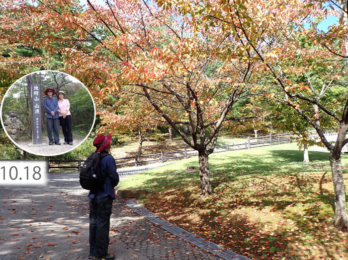 photo14公園の桜が紅葉してきた：地附山 