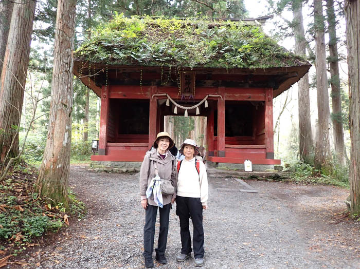 photo2屋根に草が茂る随神門