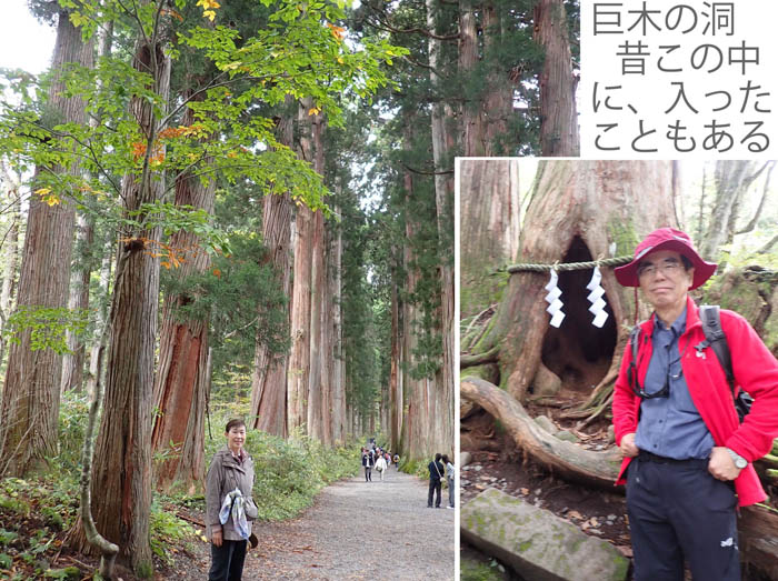 photo4樹齢400年の杉並木