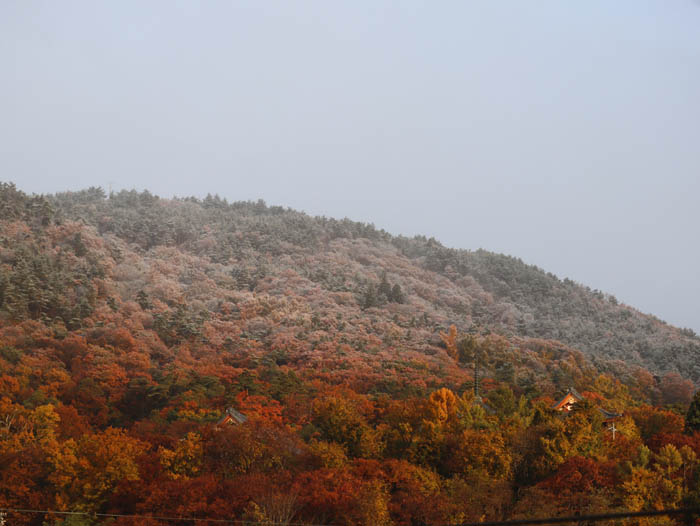 地附山