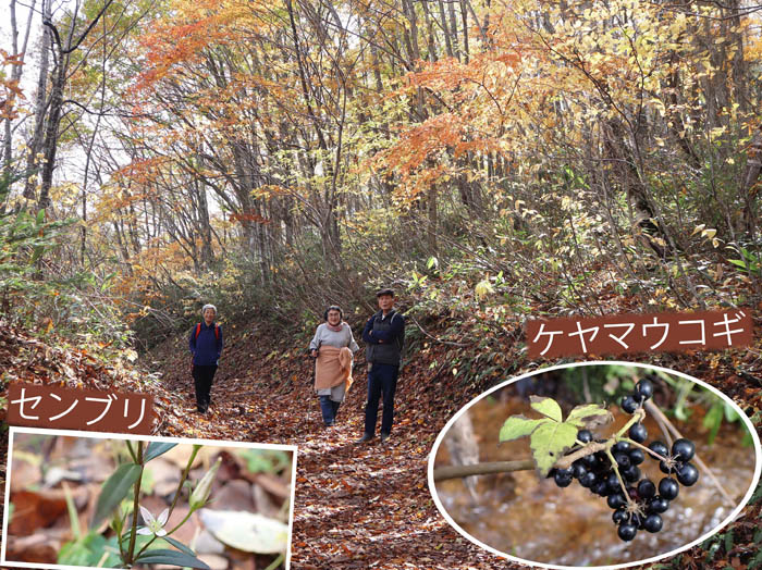 photo楽しみながら鏡池周遊