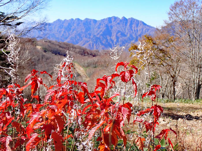 photo16紅葉と戸隠連山：瑪瑙山