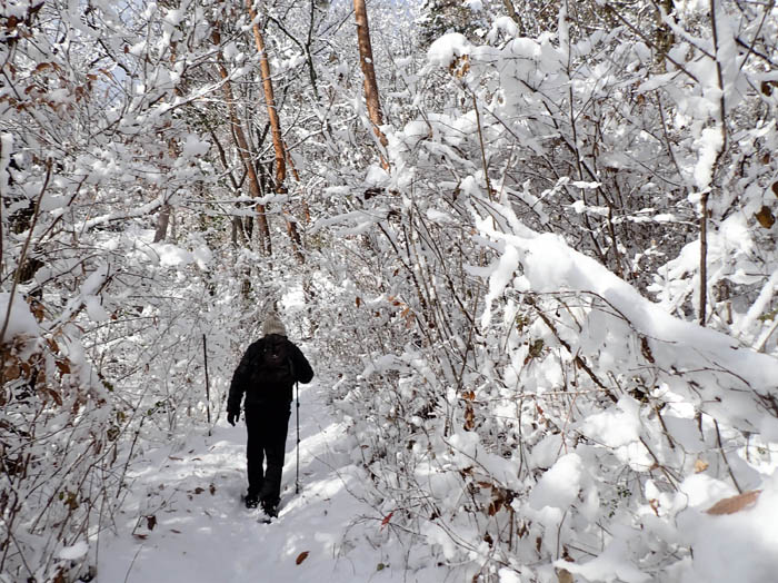 photo2雪がいっぱいだ：地附山 