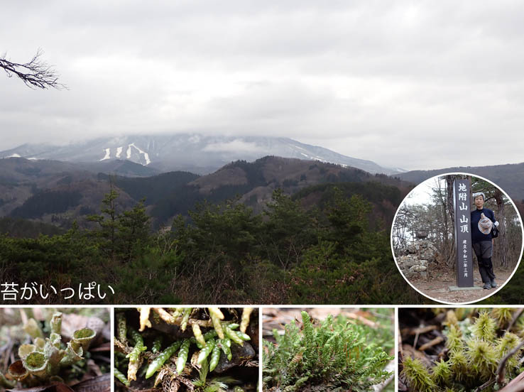 photo3雲に覆われた山頂：地附山 