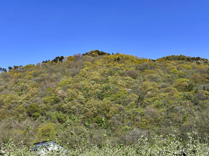 郷路山