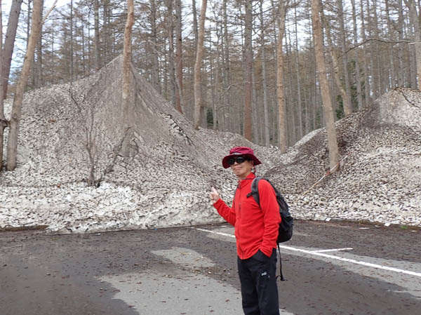 photo1森林植物園の駐車場に雪の山