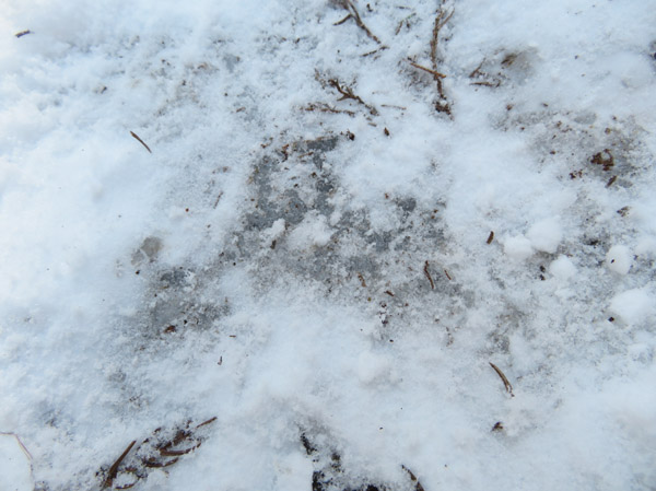 photo・固い氷の上に積もった雪