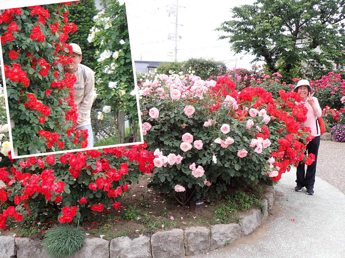 photo：隠れてる？