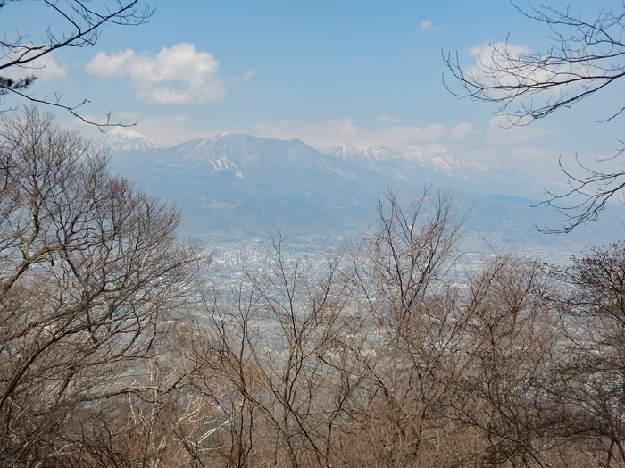 photo・ヒトリシズカ　奇妙山