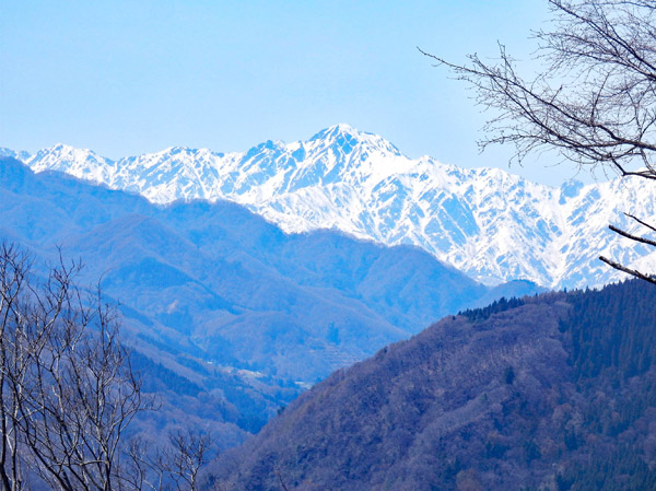 photo 五竜岳の武田菱が正面に・葛山
