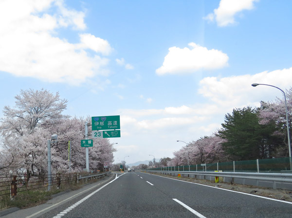 photo 高速道路も桜づくし・中央道伊那インター