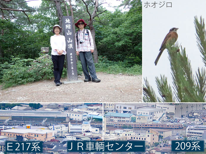 photoE217系,209系,185系
