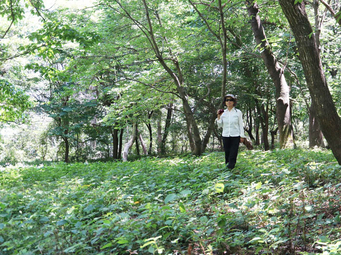 photo12陣場平を歩く
