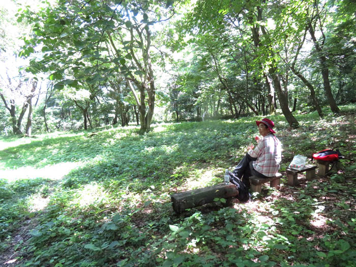 photo13陣場平は緑一色